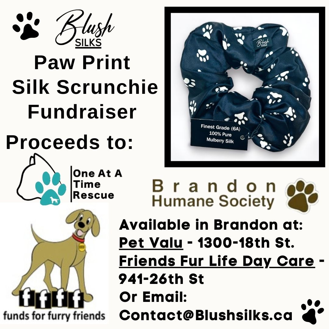 Paw Print Scrunchie Fundraiser